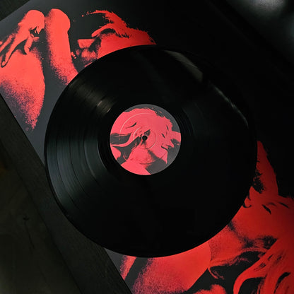 VINYL RECORDS - TV GIRL